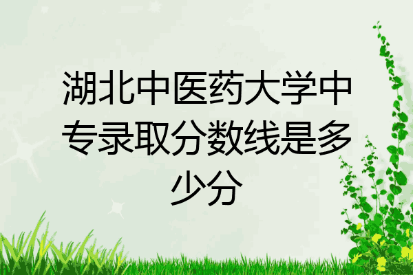 湖北中医药大学中专录取分数线是多少分