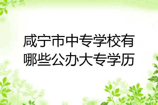咸宁市中专学校有哪些公办大专学历