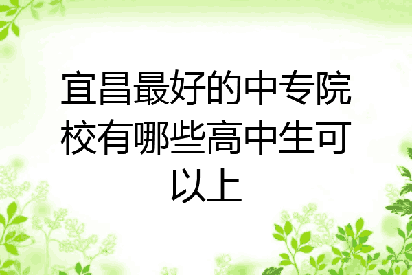 宜昌最好的中专院校有哪些高中生可以上