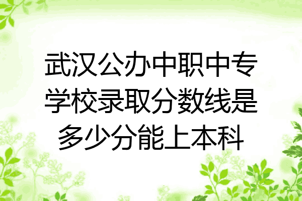 武汉公办中职中专学校录取分数线是多少分能上本科