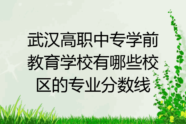 武汉高职中专学前教育学校有哪些校区的专业分数线