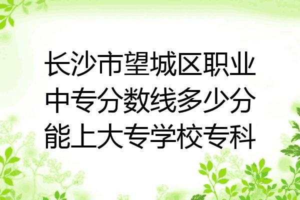 长沙市望城区职业中专分数线多少分能上大专学校专科