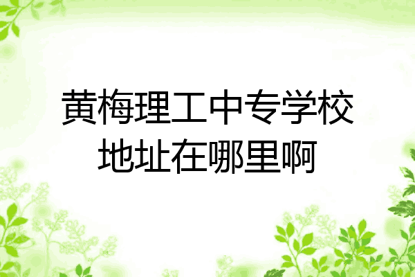 黄梅理工中专学校地址在哪里啊