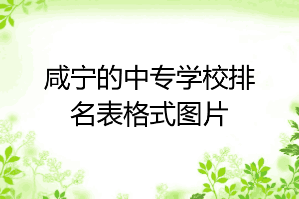 咸宁的中专学校排名表格式图片