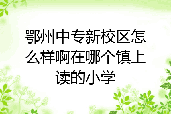 鄂州中专新校区怎么样啊在哪个镇上读的小学
