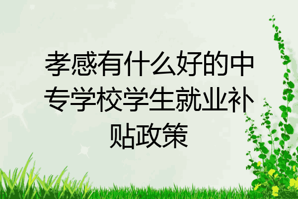 孝感有什么好的中专学校学生就业补贴政策