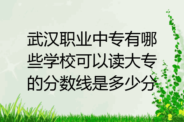 武汉职业中专有哪些学校可以读大专的分数线是多少分