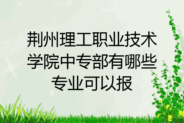 荆州理工职业技术学院中专部有哪些专业可以报