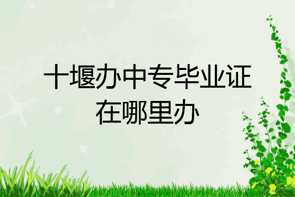 十堰办中专毕业证在哪里办