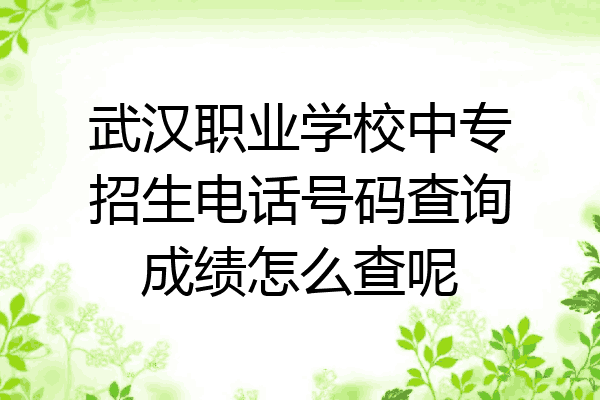 武汉职业学校中专招生电话号码查询成绩怎么查呢