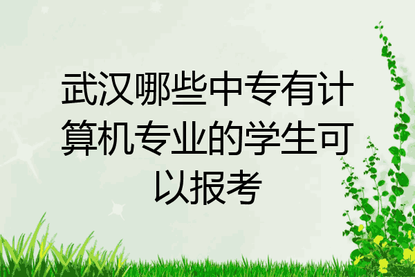 武汉哪些中专有计算机专业的学生可以报考