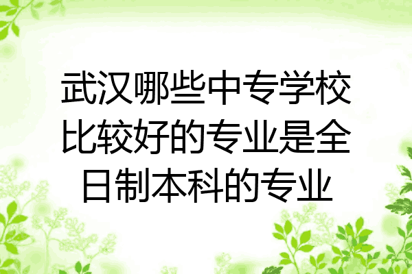 武汉哪些中专学校比较好的专业是全日制本科的专业