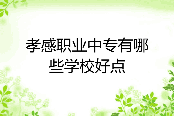 孝感职业中专有哪些学校好点