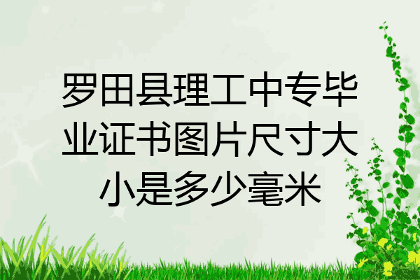 罗田县理工中专毕业证书图片尺寸大小是多少毫米