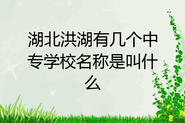 湖北洪湖有几个中专学校名称是叫什么