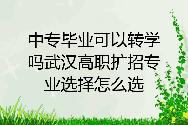 中专毕业可以转学吗武汉高职扩招专业选择怎么选