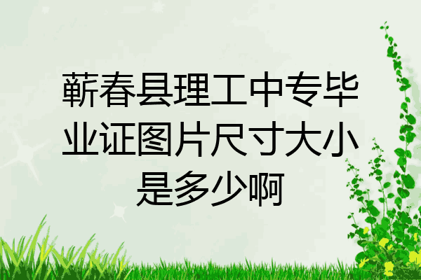 蕲春县理工中专毕业证图片尺寸大小是多少啊