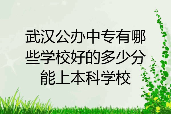 武汉公办中专有哪些学校好的多少分能上本科学校
