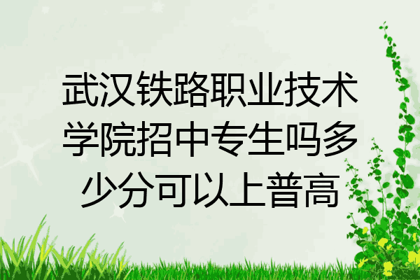 武汉铁路职业技术学院招中专生吗多少分可以上普高