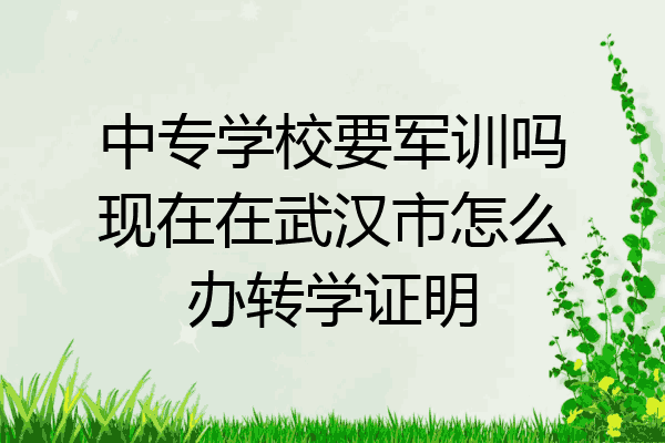 中专学校要军训吗现在在武汉市怎么办转学证明