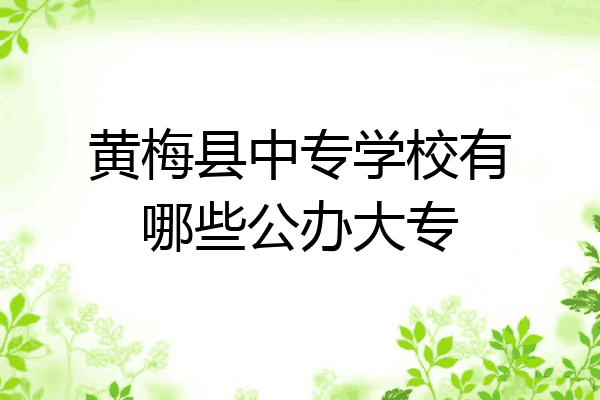 黄梅县中专学校有哪些公办大专