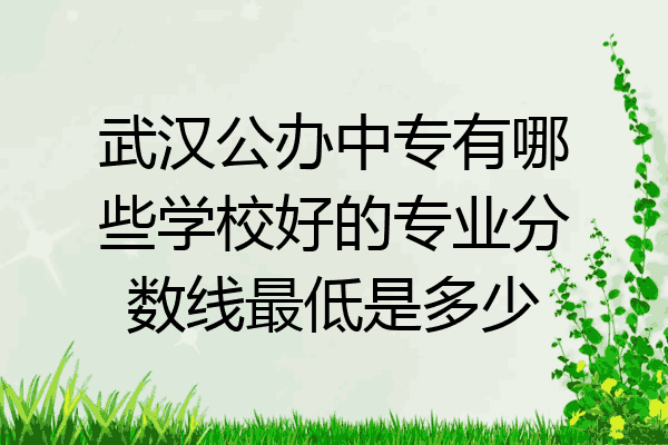 武汉公办中专有哪些学校好的专业分数线最低是多少