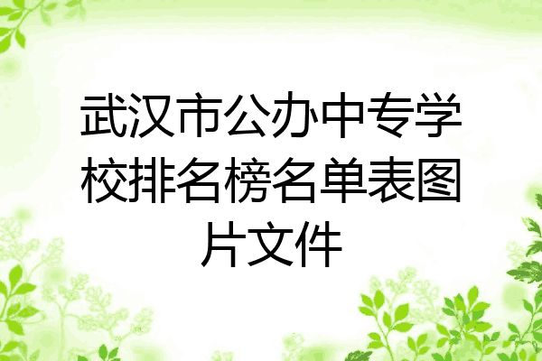 武汉市公办中专学校排名榜名单表图片文件
