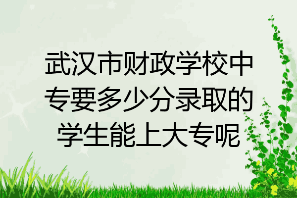 武汉市财政学校中专要多少分录取的学生能上大专呢