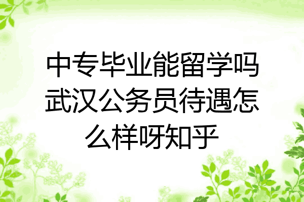 中专毕业能留学吗武汉公务员待遇怎么样呀知乎