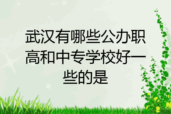 武汉有哪些公办职高和中专学校好一些的是