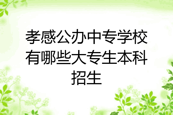 孝感公办中专学校有哪些大专生本科招生