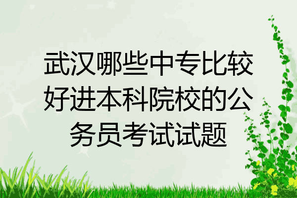 武汉哪些中专比较好进本科院校的公务员考试试题