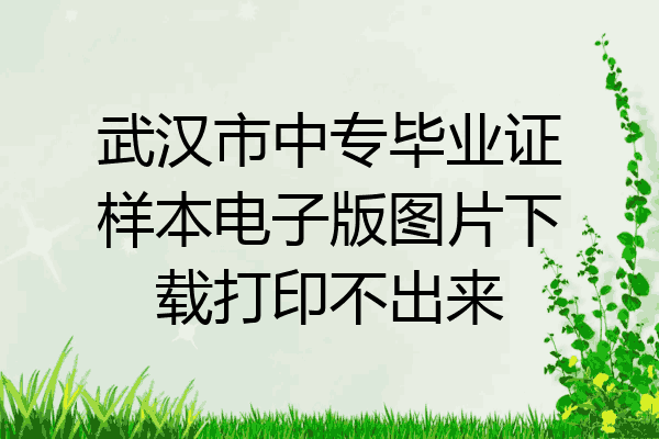 武汉市中专毕业证样本电子版图片下载打印不出来