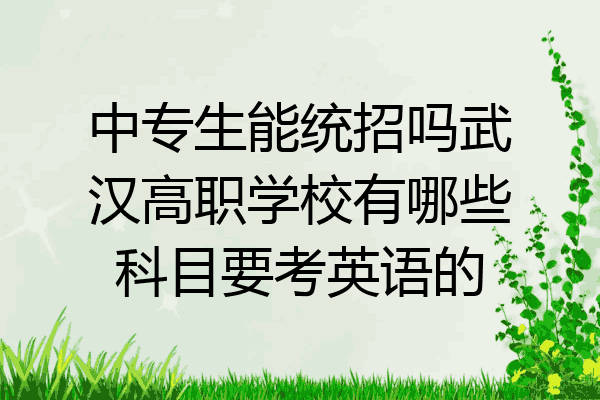 中专生能统招吗武汉高职学校有哪些科目要考英语的