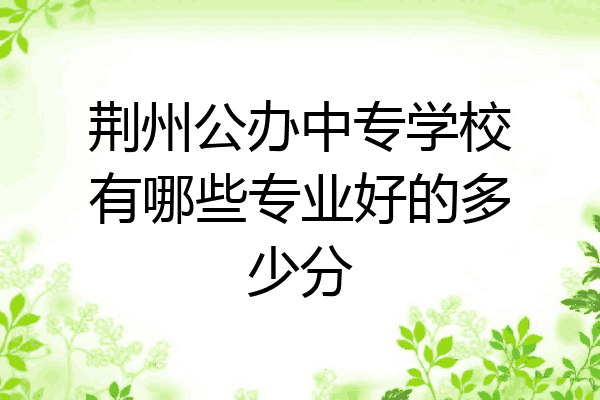 荆州公办中专学校有哪些专业好的多少分