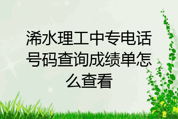 浠水理工中专电话号码查询成绩单怎么查看