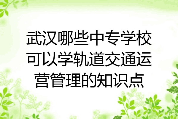 武汉哪些中专学校可以学轨道交通运营管理的知识点