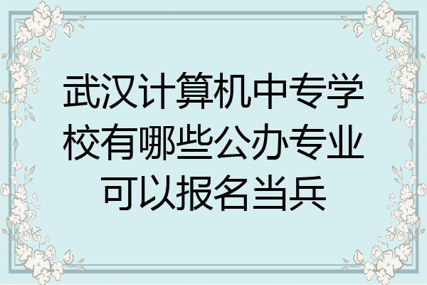 武汉计算机中专学校有哪些公办专业可以报名当兵