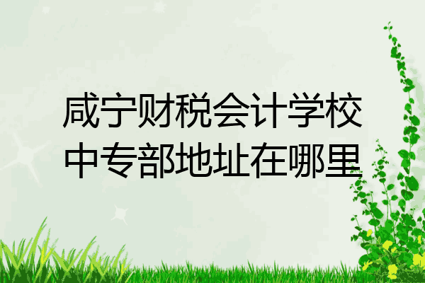 咸宁财税会计学校中专部地址在哪里