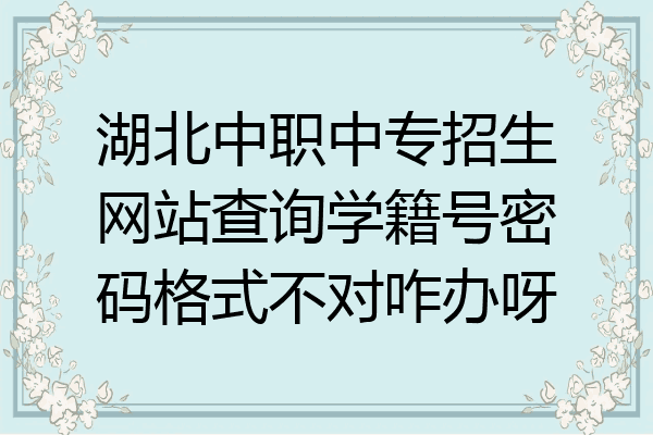 湖北中职中专招生网站查询学籍号密码格式不对咋办呀