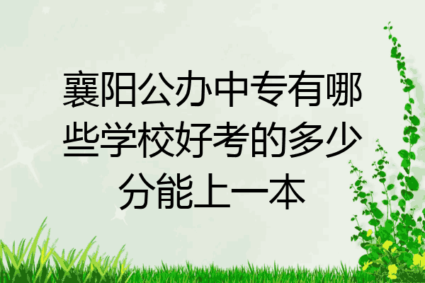 襄阳公办中专有哪些学校好考的多少分能上一本