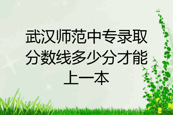 武汉师范中专录取分数线多少分才能上一本
