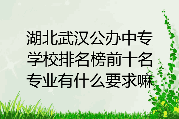 湖北武汉公办中专学校排名榜前十名专业有什么要求嘛
