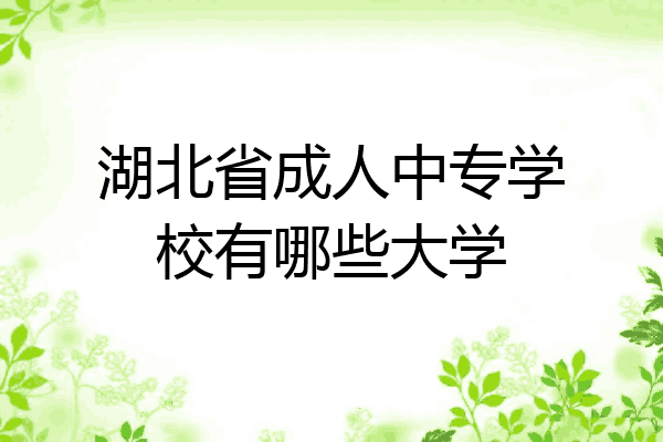 湖北省成人中专学校有哪些大学