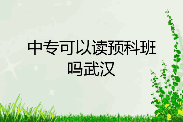 中专可以读预科班吗武汉