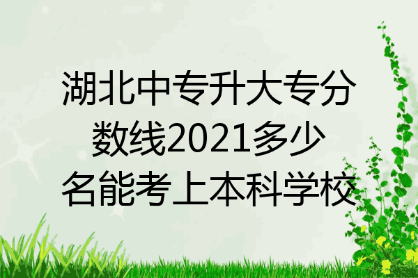 湖北中专升大专分数线2021多少名能考上本科学校