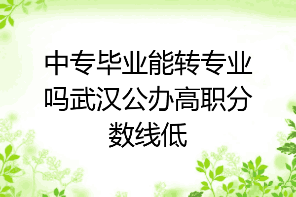 中专毕业能转专业吗武汉公办高职分数线低