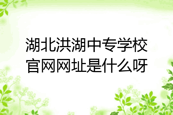 湖北洪湖中专学校官网网址是什么呀
