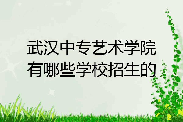 武汉中专艺术学院有哪些学校招生的