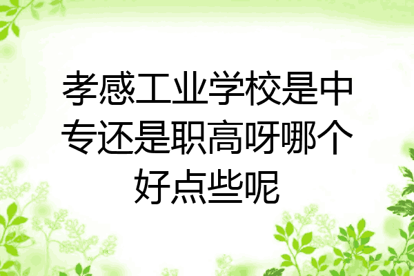 孝感工业学校是中专还是职高呀哪个好点些呢